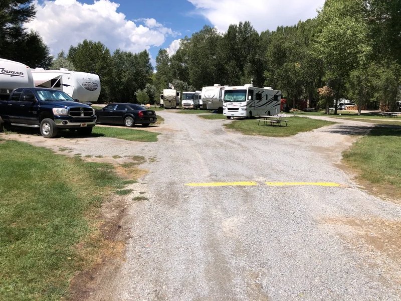 A campsite among the cottonwoods.